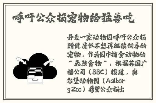 99国产精品无码专区