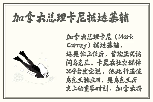 看见老师的小兔兔的感受