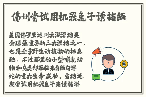 坤坤赛进定眼